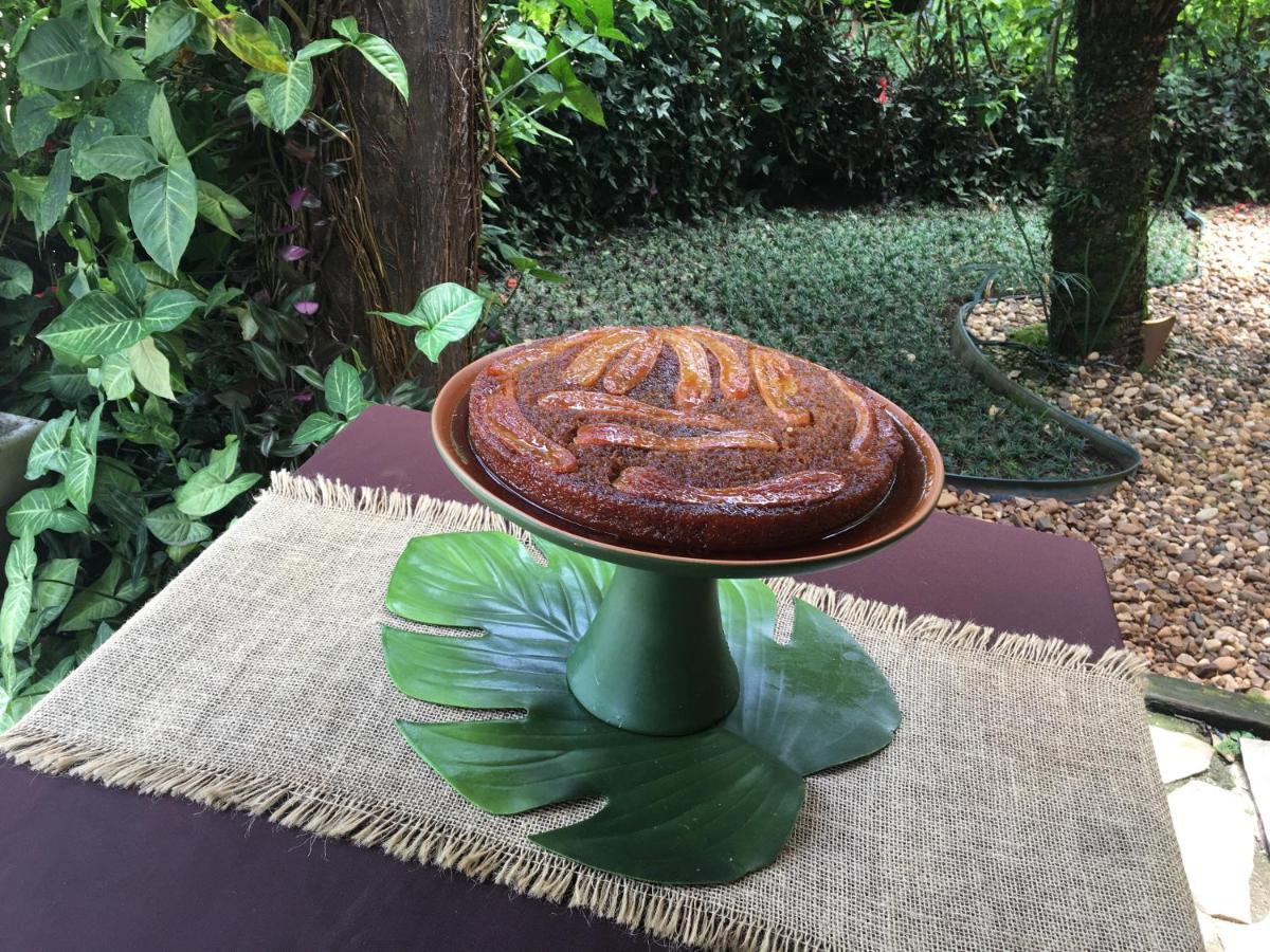 Pousada Aroeira 바하 두 사히 외부 사진